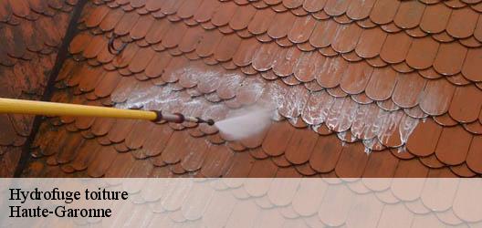 Hydrofuge toiture Haute-Garonne 