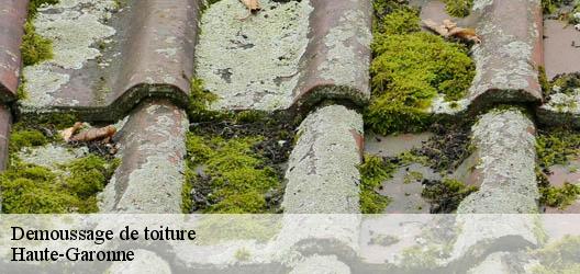 Demoussage de toiture Haute-Garonne 