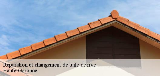 Réparation et changement de tuile de rive  Haute-Garonne 