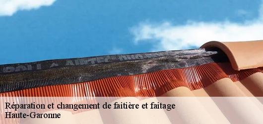 Réparation et changement de faitière et faitage Haute-Garonne 