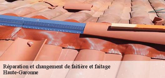 Réparation et changement de faitière et faitage Haute-Garonne 