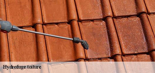 Hydrofuge toiture