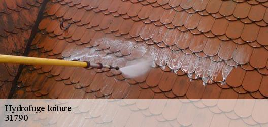 Hydrofuge toiture  31790