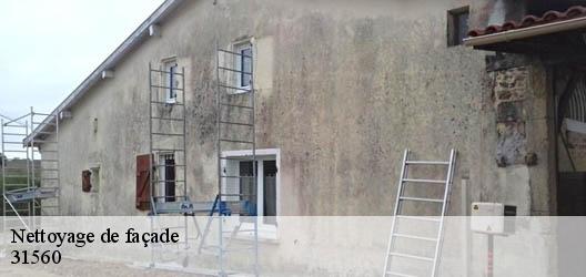 Nettoyage de façade  31560