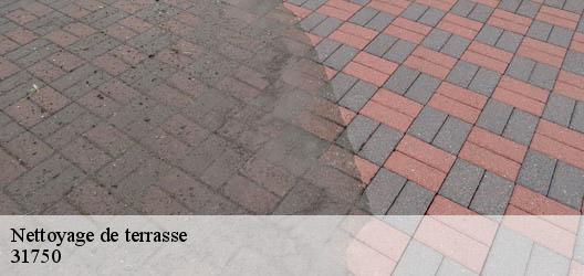 Nettoyage de terrasse  31750