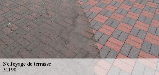 Nettoyage de terrasse  31190
