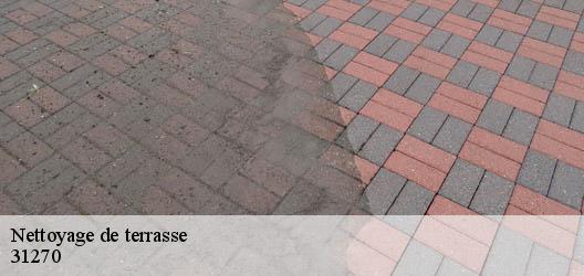 Nettoyage de terrasse  31270