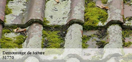 Demoussage de toiture  31770