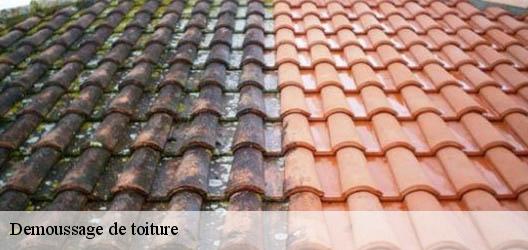 Demoussage de toiture