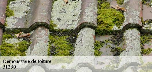 Demoussage de toiture  31230