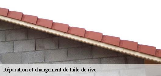 Réparation et changement de tuile de rive 