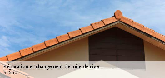 Réparation et changement de tuile de rive 31660