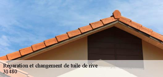 Réparation et changement de tuile de rive   31480
