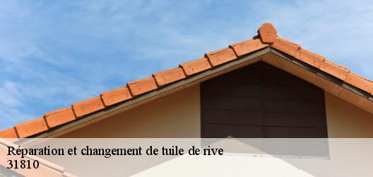 Réparation et changement de tuile de rive   31810