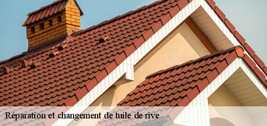 Réparation et changement de tuile de rive 