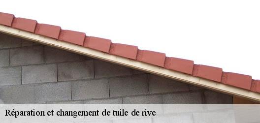 Réparation et changement de tuile de rive