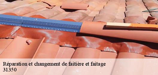 Réparation et changement de faitière et faitage 31350