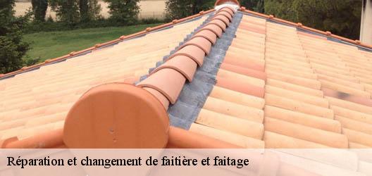 Réparation et changement de faitière et faitage