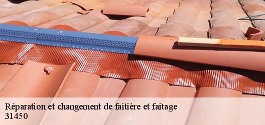 Réparation et changement de faitière et faitage  31450