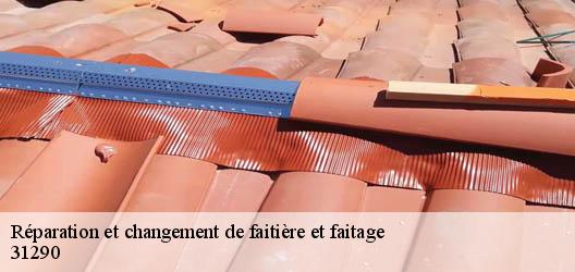 Réparation et changement de faitière et faitage 31290