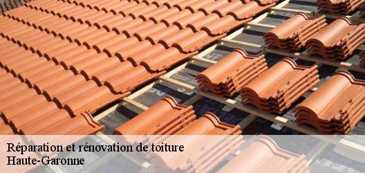 Réparation et rénovation de toiture Haute-Garonne 