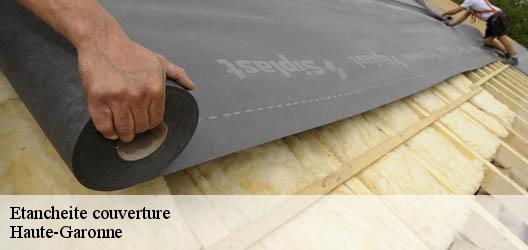 Etancheite couverture Haute-Garonne 