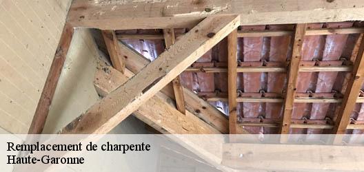 Remplacement de charpente Haute-Garonne 