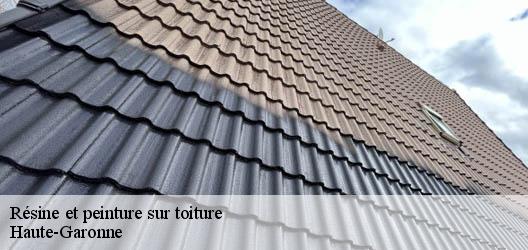 Résine et peinture sur toiture Haute-Garonne 