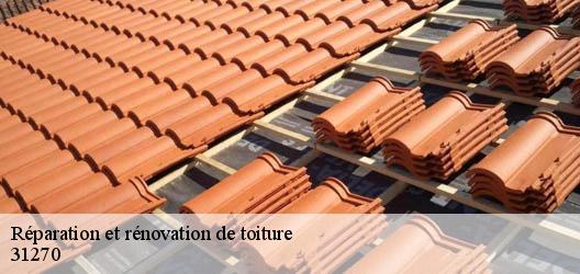 Réparation et rénovation de toiture  31270