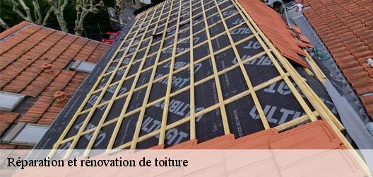 Réparation et rénovation de toiture