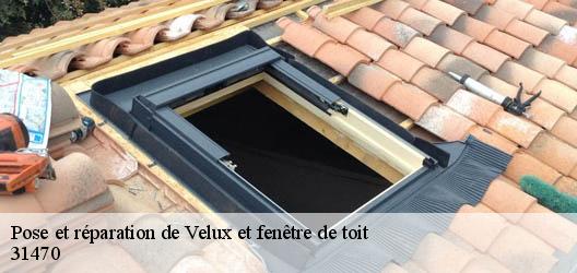 Pose et réparation de Velux et fenêtre de toit 31470