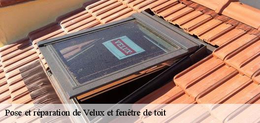 Pose et réparation de Velux et fenêtre de toit