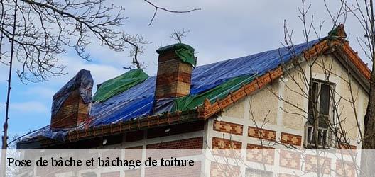 Pose de bâche et bâchage de toiture