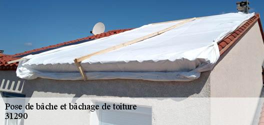 Pose de bâche et bâchage de toiture  31290
