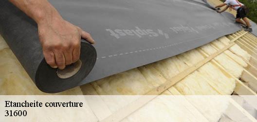 Etancheite couverture  31600