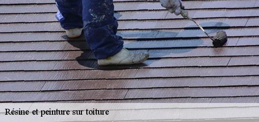 Résine et peinture sur toiture