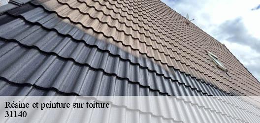 Résine et peinture sur toiture  31140