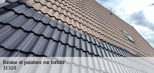 Résine et peinture sur toiture  31320