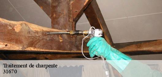 Traitement de charpente  31670