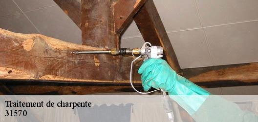 Traitement de charpente 31570