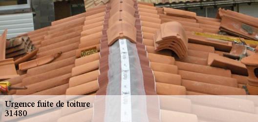 Urgence fuite de toiture 31480
