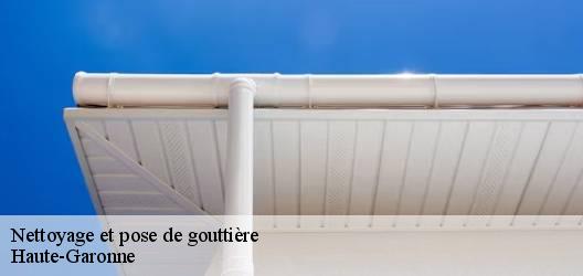 Nettoyage et pose de gouttière Haute-Garonne 
