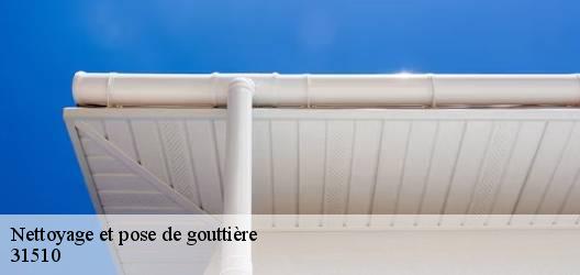 Nettoyage et pose de gouttière  31510