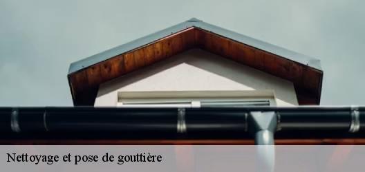 Nettoyage et pose de gouttière